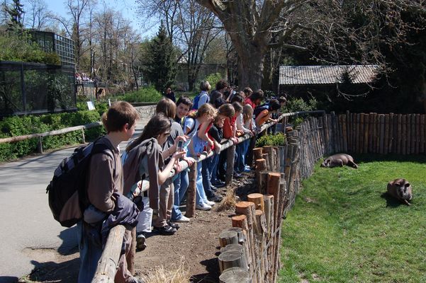 zoo1.JPG